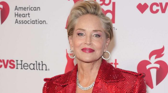 Sharon Stone faces intense backlash after returning to old ways of staying relevant
