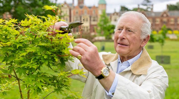 King Charles unveils major tribute to natural world after defying pressure over US visit 