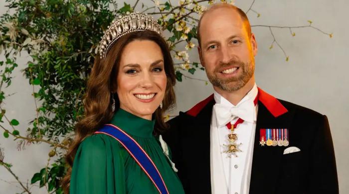 Prince William and Kate Middleton stunning portrait: Who captured the viral image? 