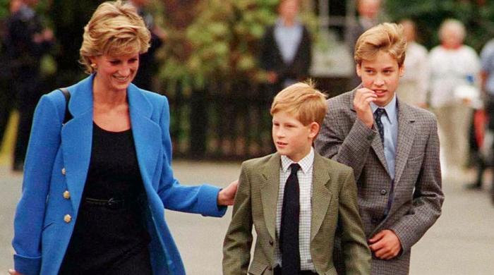 Princess Diana was always concerned about Prince Harry's future role amid William special privileges