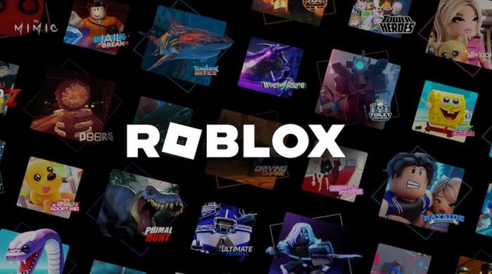 Roblox tightens controls as Indonesia enforces child safety law