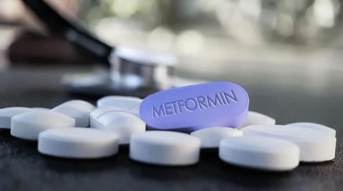 Metformin’s hidden brain pathway uncovered after 60 years