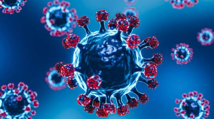 'Cicada' COVID variant detected in multiple countries as experts study mutation risks