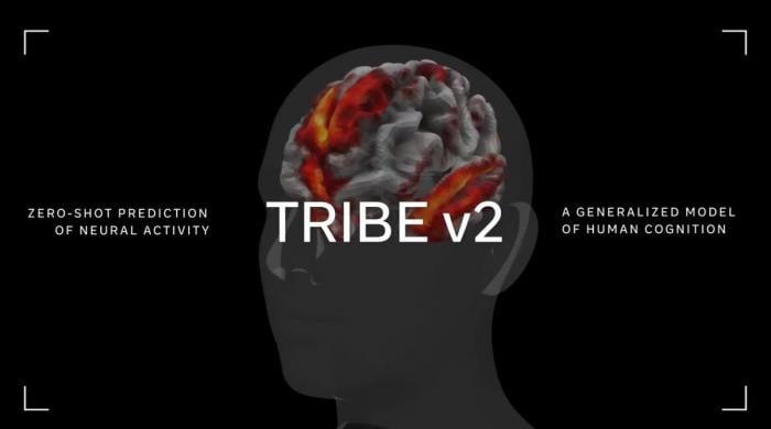 Meta rolls out TRIBE v2 to predict human brain activity