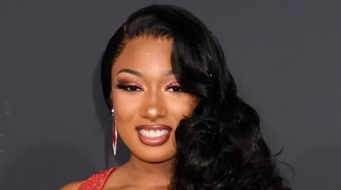 Megan Thee Stallion recalls meeting 'Harry Potter' in real life