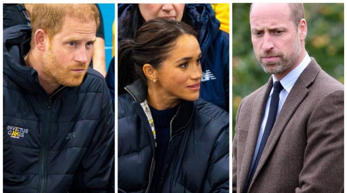 Windsor House called to help Prince Harry, Meghan Markle: ‘They are going to crash’