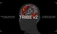 Meta Rolls Out TRIBE V2 To Predict Human Brain Activity