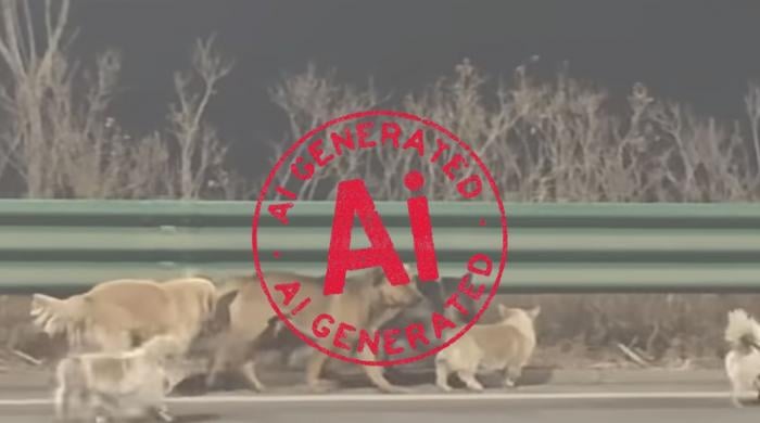 Viral dog video misled by AI-generated fake narratives