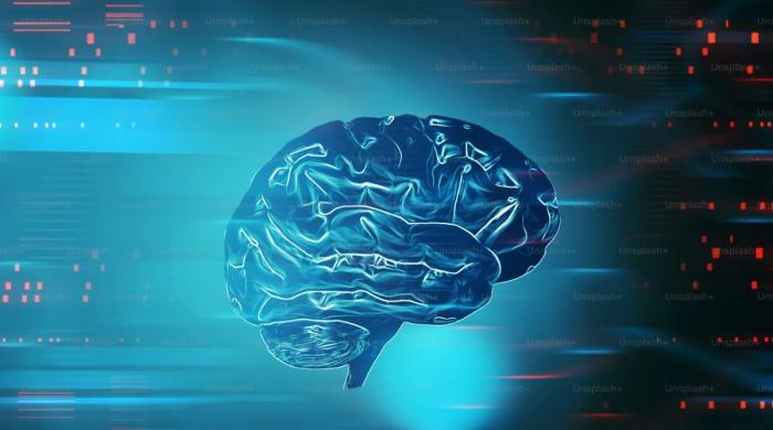 Brain holds secret memory system, study finds