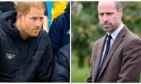 Harry called Prince William a ‘country bumpkin’? Biographer exposes his issues with Middletons