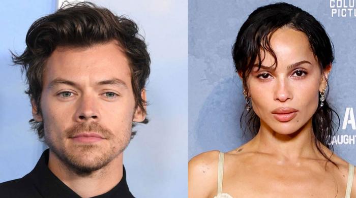 How Harry Styles, Zoe Kravitz making romance work despite tour plans?