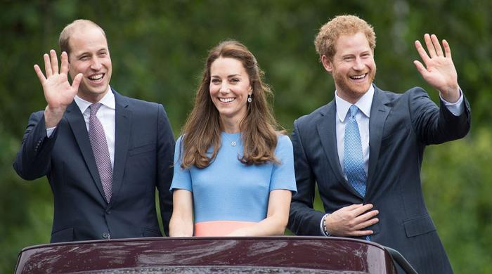How Kate Middleton, Prince William react to Harry's olive branch to King Charles?