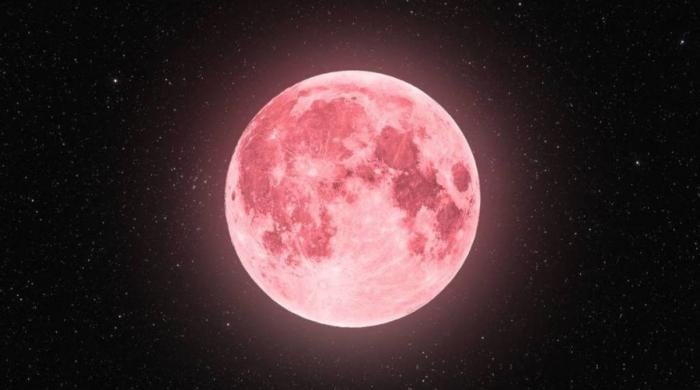 April’s Pink Moon 2026:  How to see the full moon in all its glory