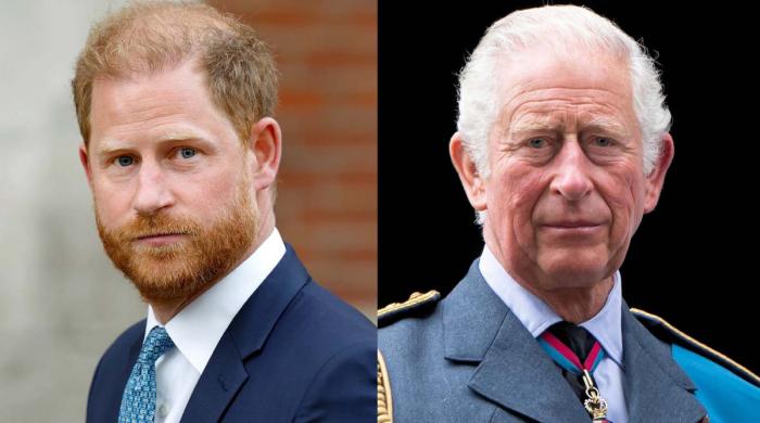 Prince Harry skips meeting with King Charles