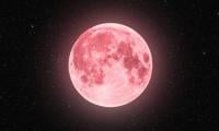 April’s Pink Moon 2026:  How To See The Full Moon In All Its Glory