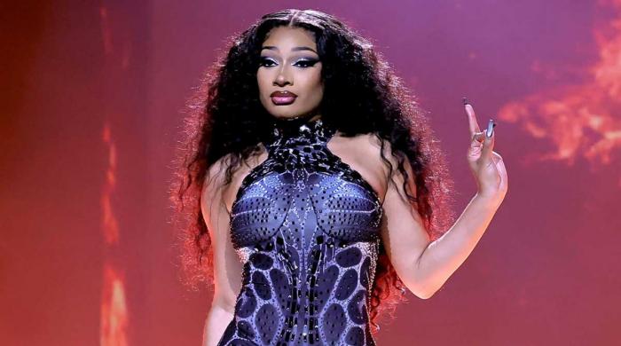 Megan Thee Stallion abruptly leaves concert midway after health scare
