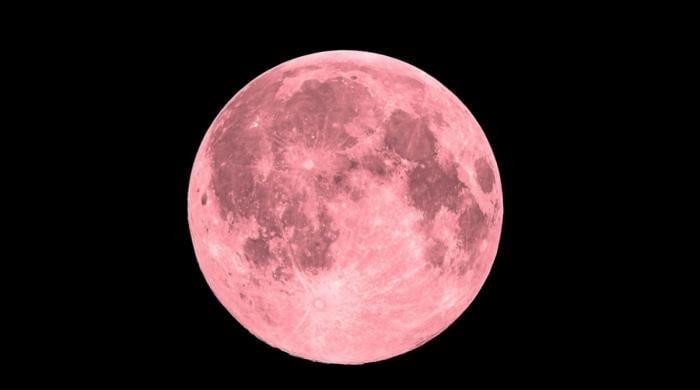 Pink moon 2026: when to see April’s full moon and why it won’t look pink in the sky