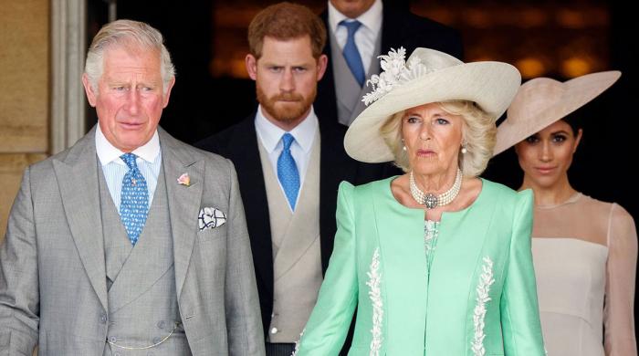 Prince Harry worried Queen Camilla could block reunion with King Charles