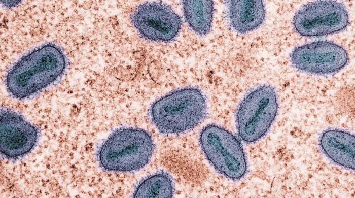 Singapore confirms first local spread of mutated monkeypox clade Ib strain