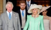 Prince Harry worried Queen Camilla could block reunion with King Charles
