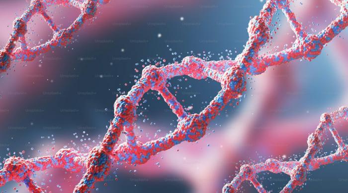 Gene mutation may affect how schizophrenia patients see reality