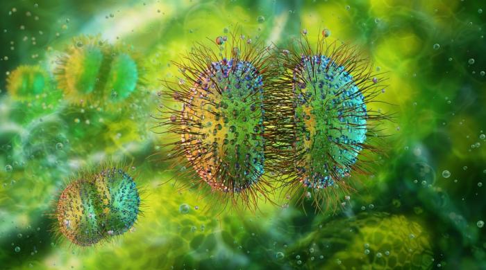 Meningococcal disease, dangerous bacterial infection, hits decade high in Canada