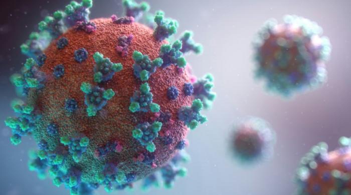  New Covid variant BA.3.2 spreads across US as experts stress vigilance 