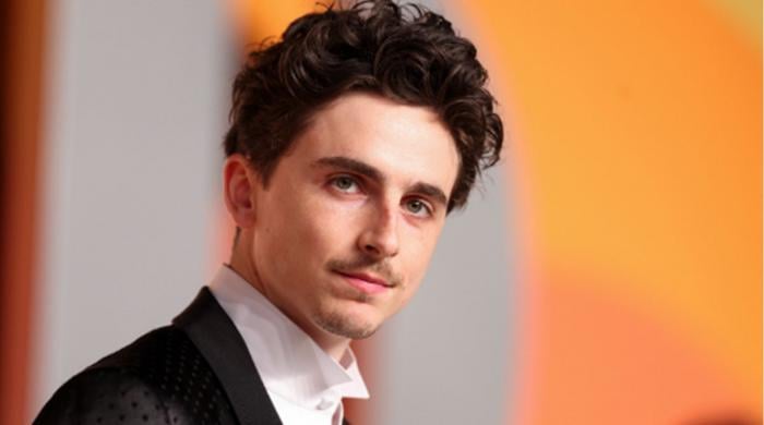Timothée Chalamet sparks 'surge of worldwide curiosity' after ballet and opera remarks