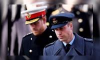 Prince William once started a fight with Harry over a missed present