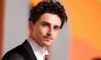 Timothée Chalamet sparks 'surge of worldwide curiosity' after ballet and opera remarks