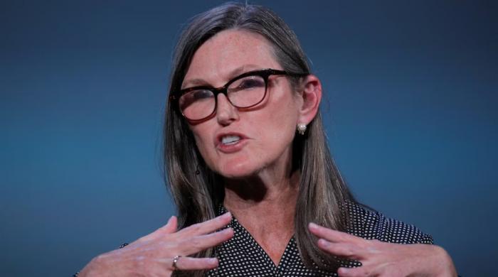 Cathie Wood invests millions in rising tech stock as Ark Innovation fund faces mixed returns