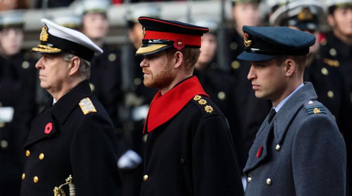 How Prince William deals with Andrew, Harry problem: 'Strategy' exposed