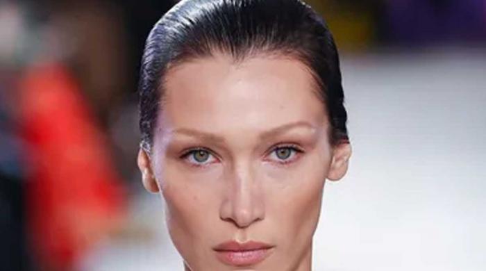 What did Epstein say about Bella Hadid? 