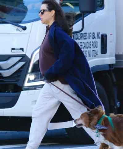 Aubrey Plaza spotted on a walk in NYC after confirming pregnancy