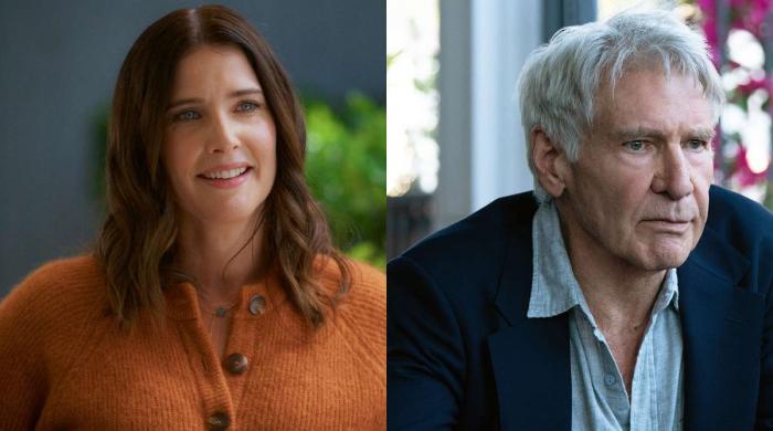 'The Avengers' Cobie Smulders highlights key point of 'Shrinking' costar Harrison Ford's character