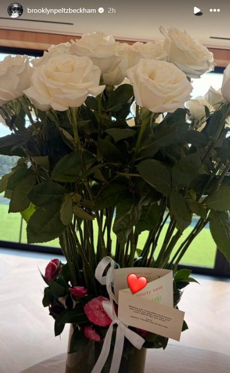 Nicola Peltz snubs Brooklyn Beckham on wedding anniversary in huge blow