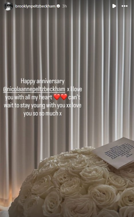 Nicola Peltz snubs Brooklyn Beckham on wedding anniversary in huge blow