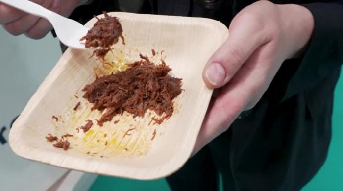 Spanish-based startup bets big on hybrid meat market: Here’s why