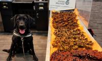 Detection dog at Toronto airport uncovers large stash of undeclared meat in passenger luggage