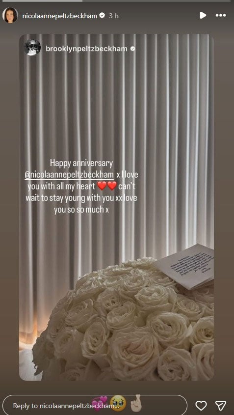 Nicola Peltz reacts after Brooklyn Beckham anniversary snub: Cosy or lazy?