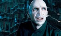 Ralph Fiennes Backs Shocking Female Voldemort In 'Harry Potter' Reboot  