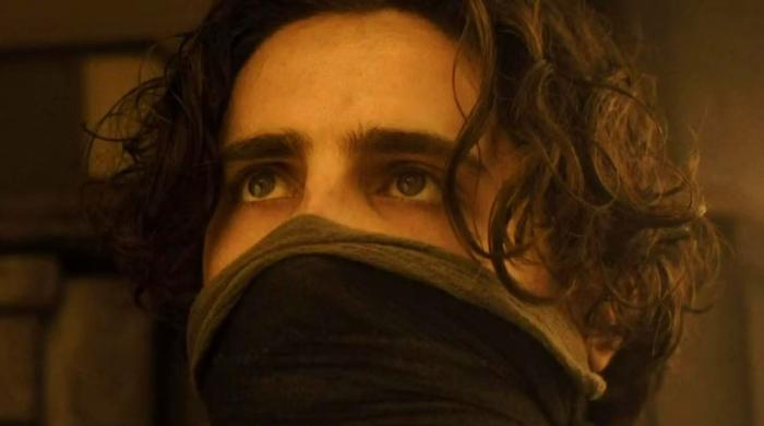 Timothée Chalamet gets support after explosive opera, ballet remark  