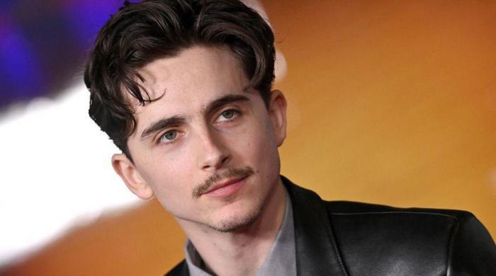 Timothée Chalamet under fire for 'over-the-top' promotions after controversial ballet remarks