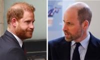 Prince William ‘absolutely Refuses’ Prince Harry A Big Olive Branch: ‘It’ll Send The Wrong Message’