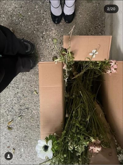 Ariana Grande announces new album Petal