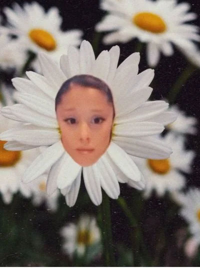 Ariana Grande Announces New Album Petal Ariana Grande Announces New Album Petal