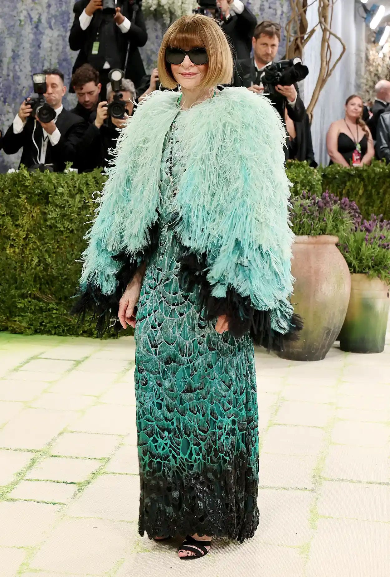 Anna Wintours' feathery look makes headlines at Met Gala 2026