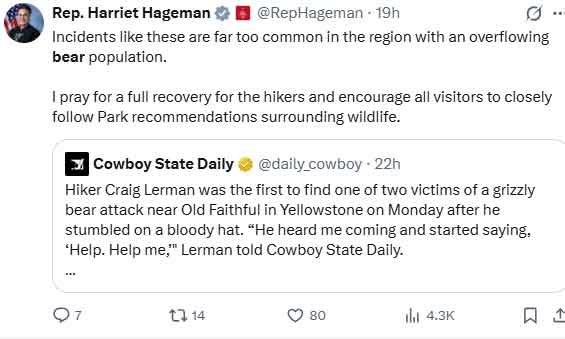 Rare Yellowstone bear attack elicits reaction from US lawmaker