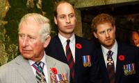 King Charles backs Prince Harry amid growing tension with Prince William