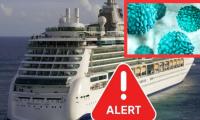 Norovirus Outbreak: Hundreds cruise ship passengers fall ill on Caribbean Princess